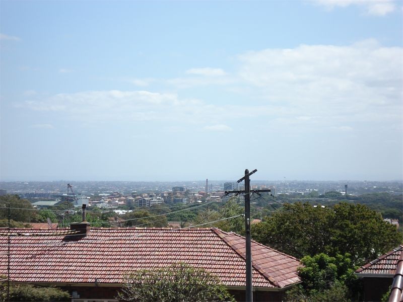 3/33 Albion Street, Waverley NSW 2024