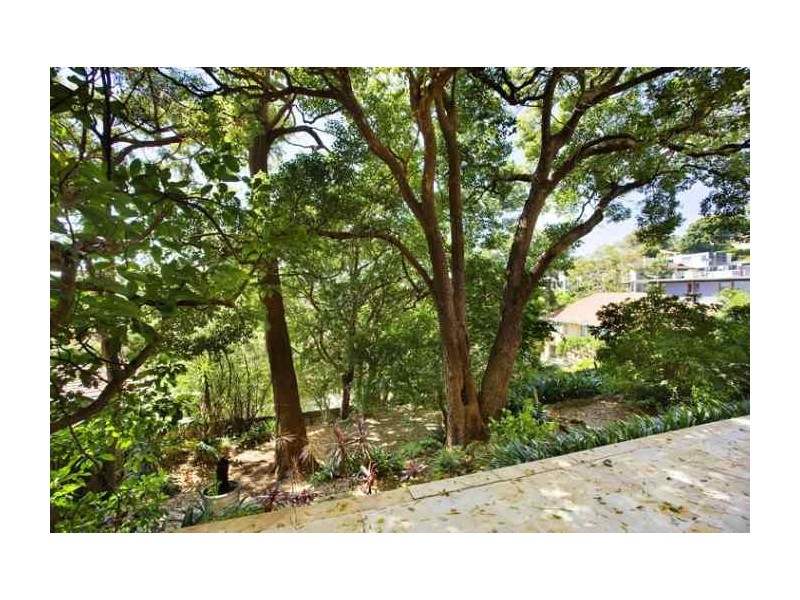 38 Cranbrook Road, Bellevue Hill NSW 2023