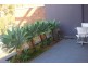 8/409-411 New South Head Road, Double Bay NSW 2028