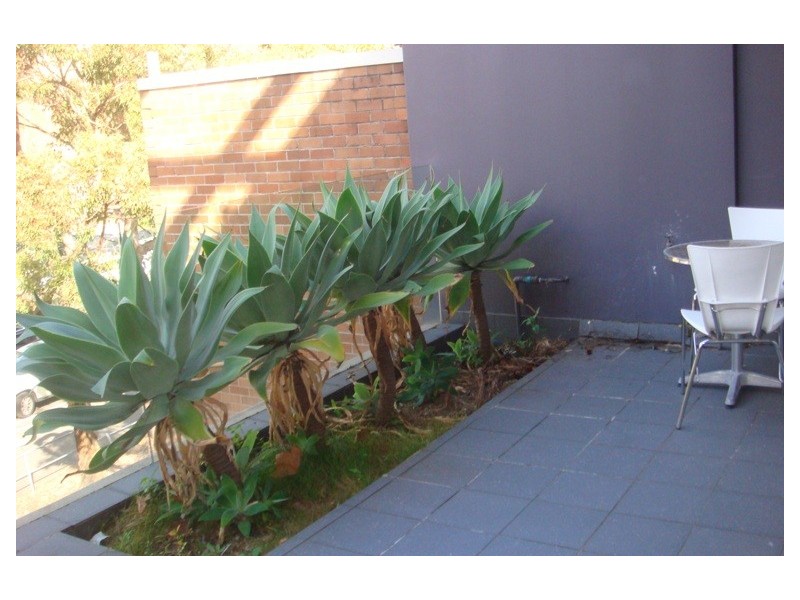 8/409-411 New South Head Road, Double Bay NSW 2028