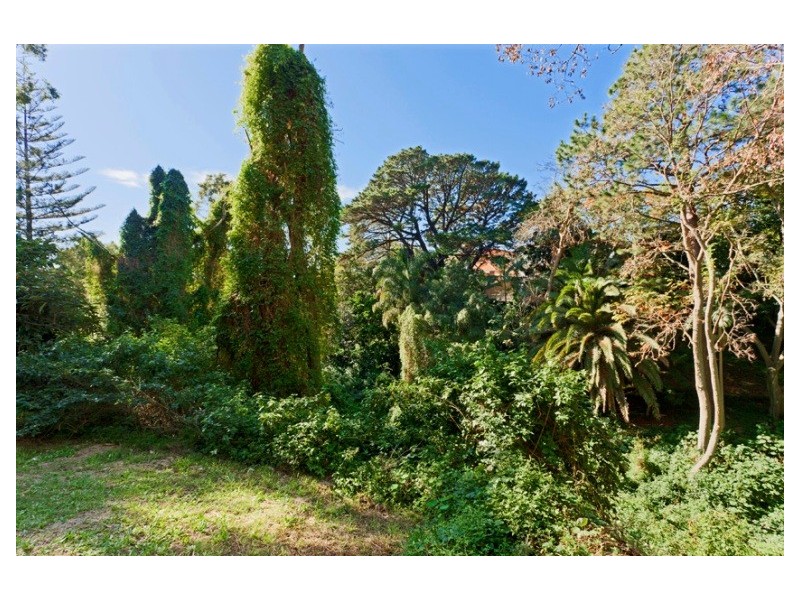 1/80 Drumalbyn Road, Bellevue Hill NSW 2023