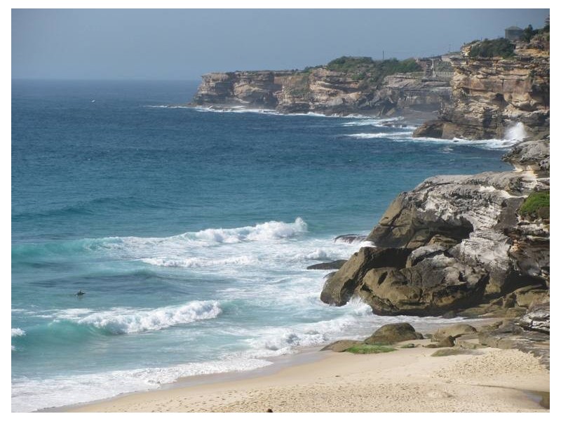 1/3 Pacific Avenue, Tamarama NSW 2026