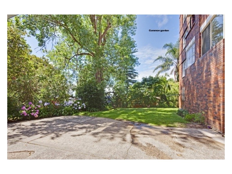 6/129 Victoria Road, Bellevue Hill NSW 2023