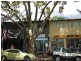 7/193 Victoria Street, Darlinghurst NSW 2010