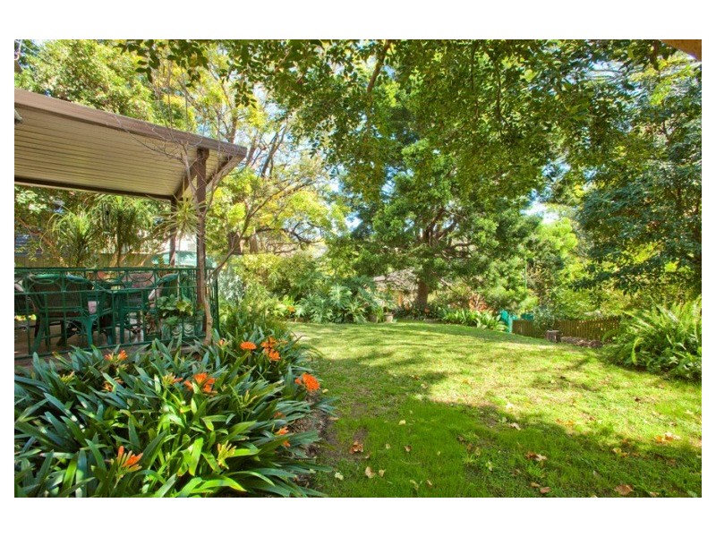 55b Carlotta Road, Double Bay NSW 2028