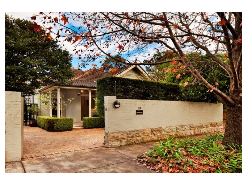 19 Darley Road, Randwick NSW 2031