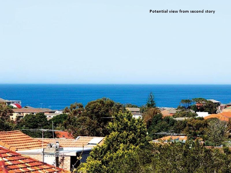 20 Carlton Street, Waverley NSW 2024