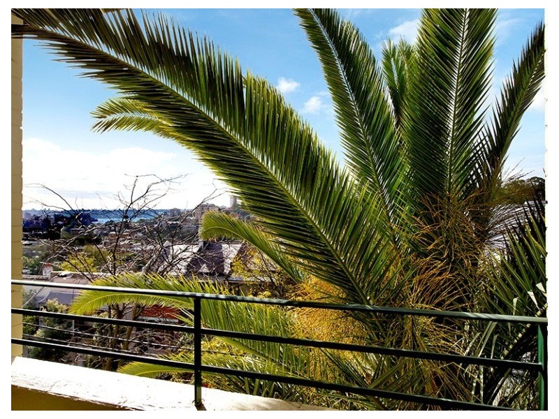 4/61 Hargrave Street, Paddington NSW 2021