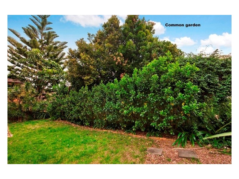 1/13 Darling Street, Bronte NSW 2024