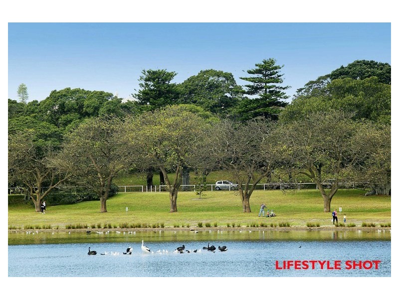 16 Earl Street, Randwick NSW 2031