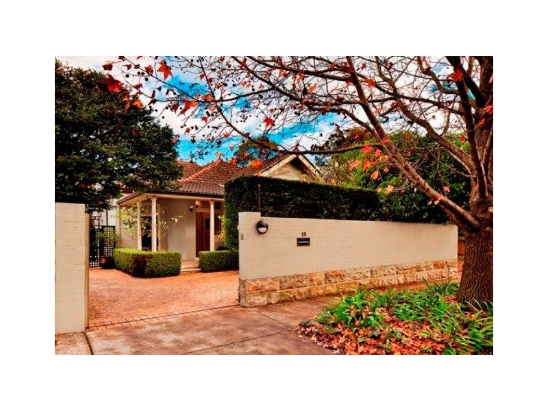 19 Darley Road, Randwick NSW 2031