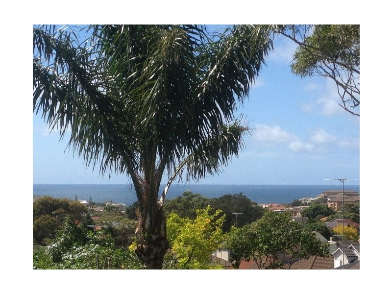 15 Knox Street, Clovelly NSW 2031