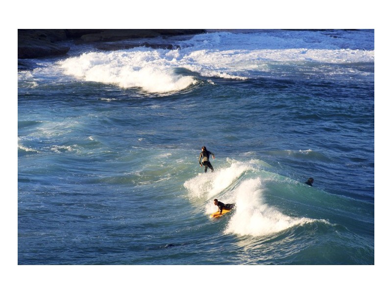 8/1  St Thomas Street, Bronte NSW 2024