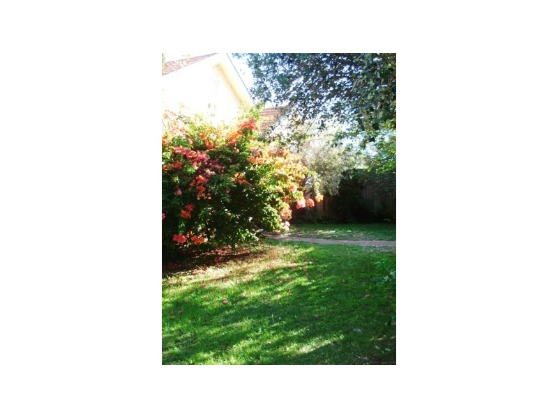 5 Farrelleys Avenue, Bondi NSW 2026