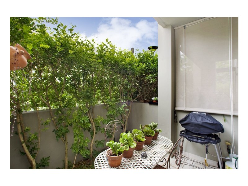 59 Gipps Street, Paddington NSW 2021