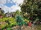 92  Windsor Road, Dulwich Hill NSW 2203