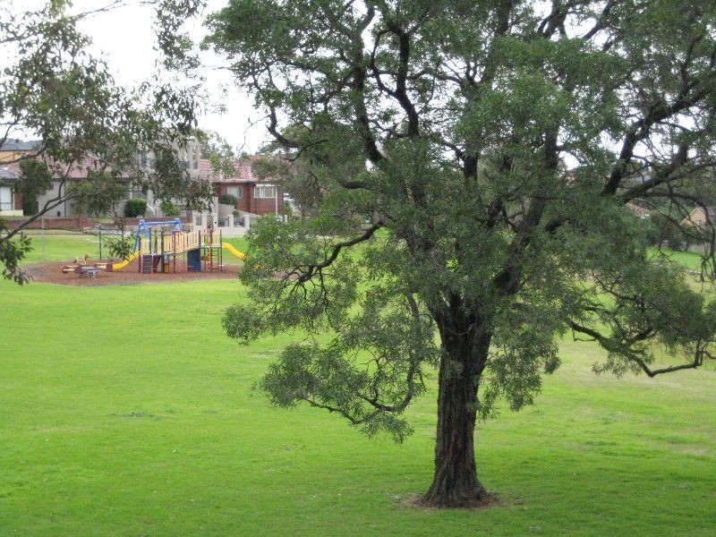 12 Lansdowne Street, Bardwell Valley NSW 2207