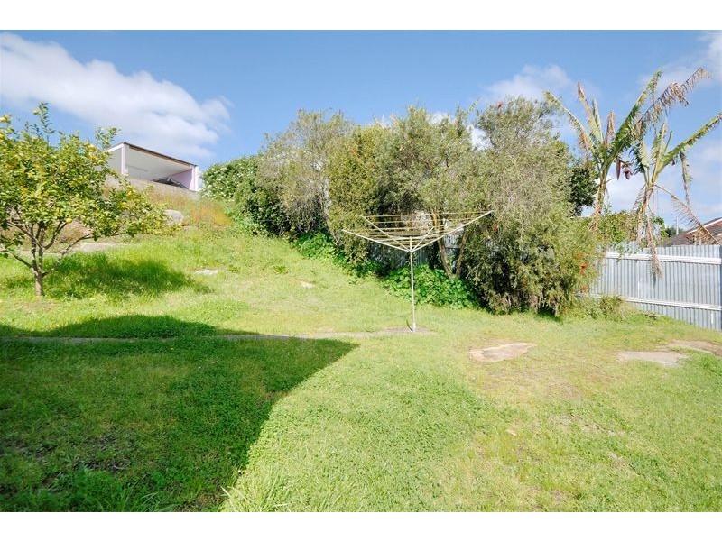 91 Bayview Street, Bexley NSW 2207