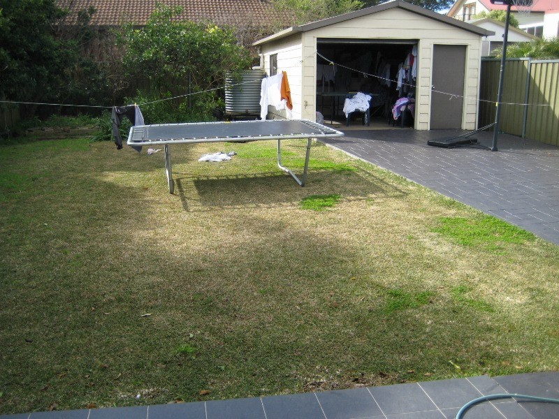 134  Woids Avenue, Carlton NSW 2218