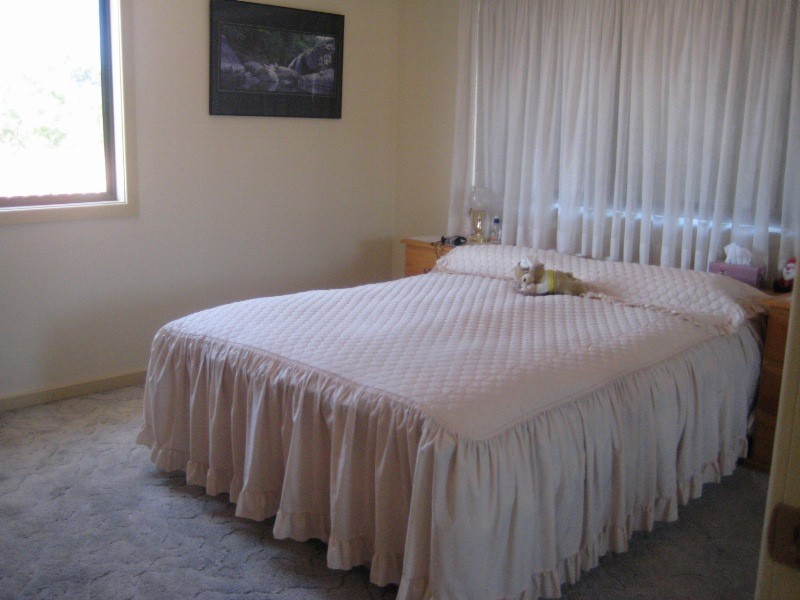 539  Forest Road, Bexley NSW 2207