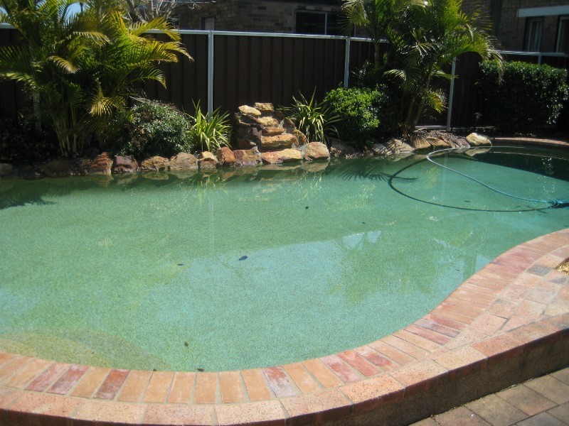 539  Forest Road, Bexley NSW 2207