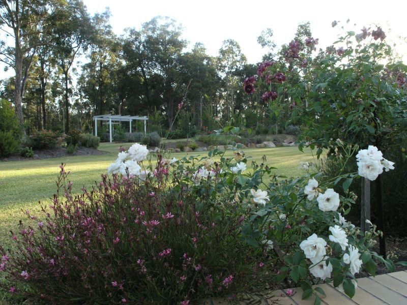 Cessnock NSW 2325