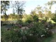 Cessnock NSW 2325