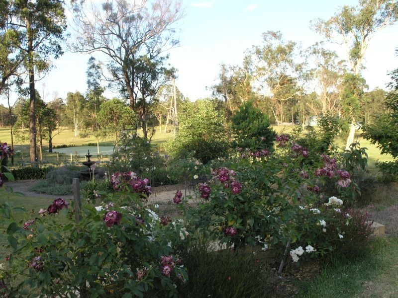 Cessnock NSW 2325