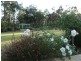 Cessnock NSW 2325