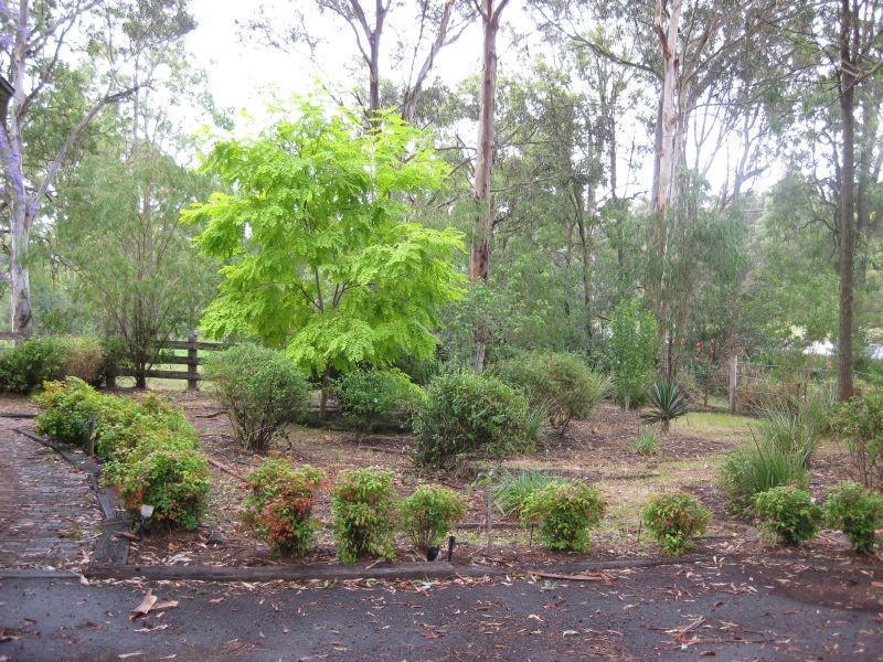 576 Maitland Road, Cessnock NSW 2325