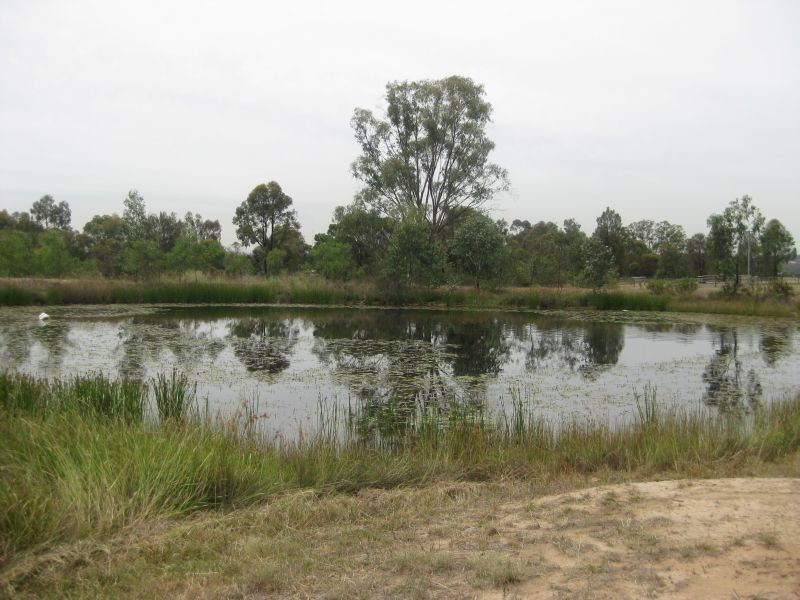 1010 Noses Peak Road, Bulga NSW 2330