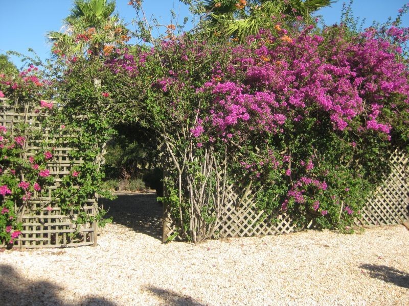 Lower Belford NSW 2335