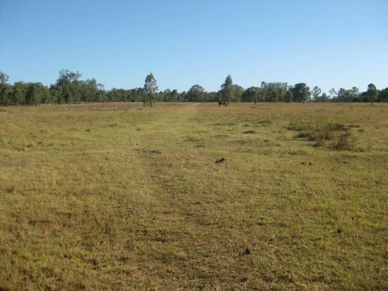 Lower Belford NSW 2335