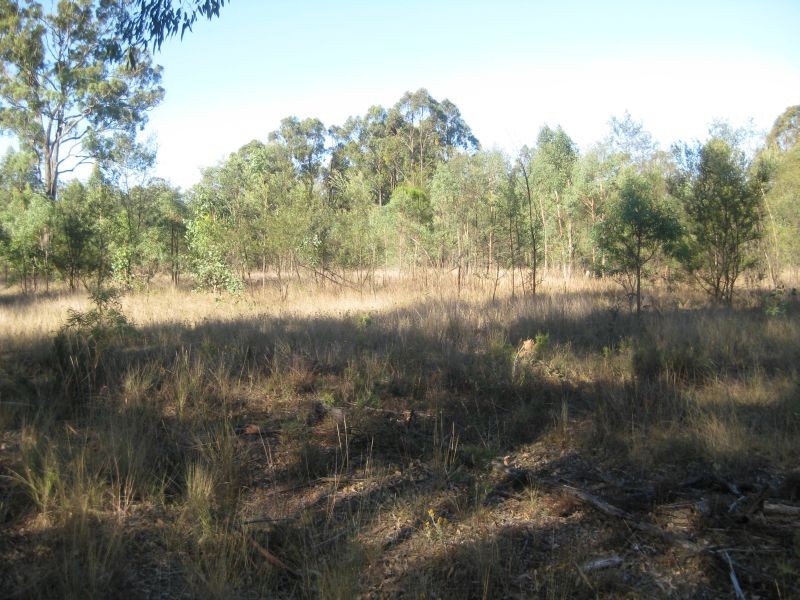 Lower Belford NSW 2335
