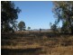 Lower Belford NSW 2335