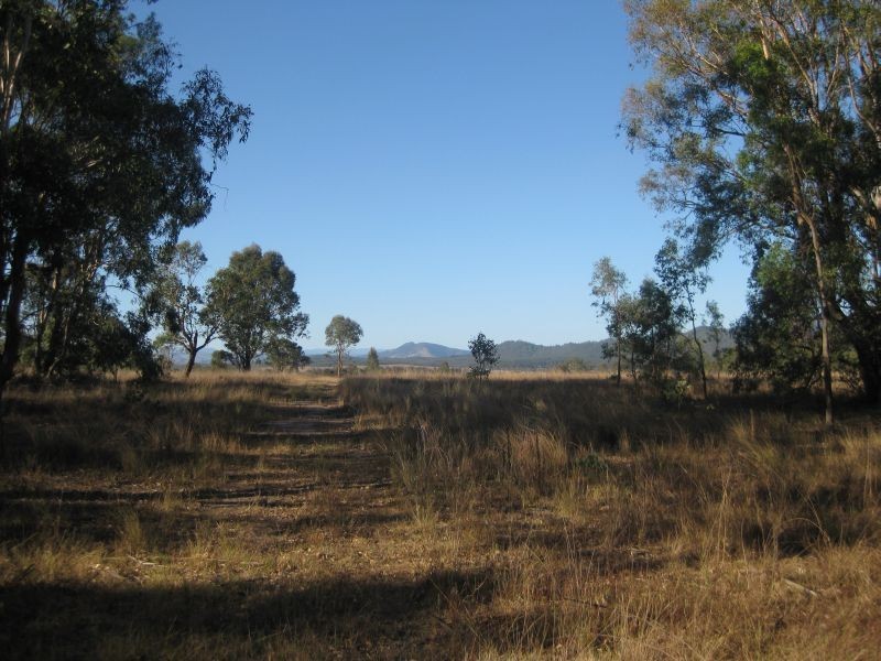 Lower Belford NSW 2335