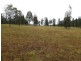 Bulga NSW 2330
