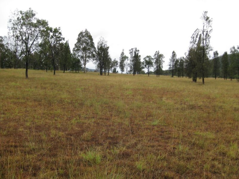Bulga NSW 2330