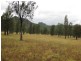 Bulga NSW 2330
