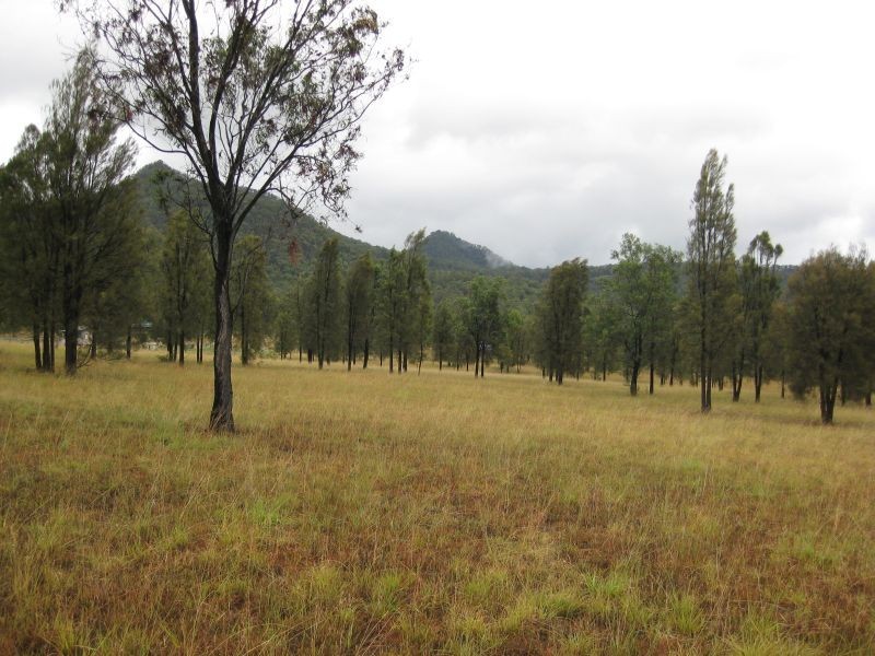 Bulga NSW 2330