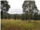 Bulga NSW 2330
