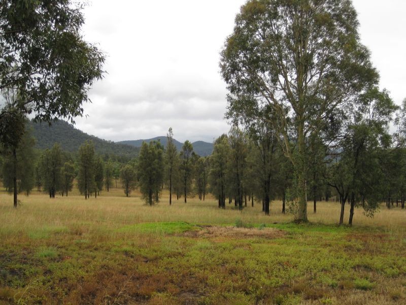 Bulga NSW 2330