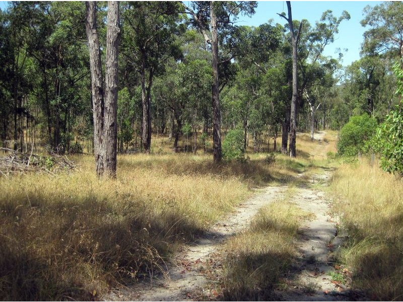 Mulbring NSW 2323