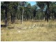 Mulbring NSW 2323
