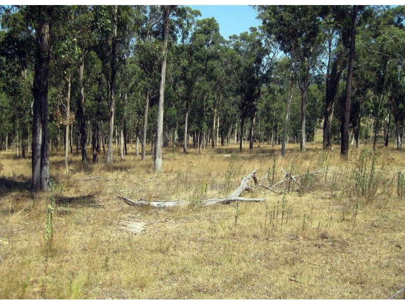 Mulbring NSW 2323