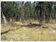 Mulbring NSW 2323