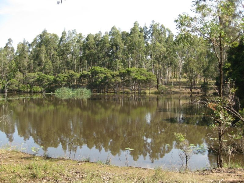 North Rothbury NSW 2335