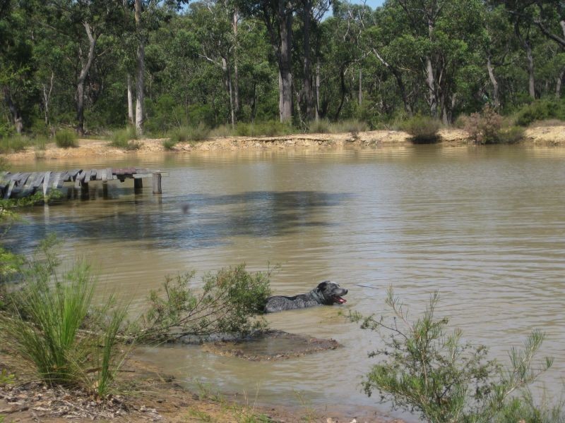 168 Ironbark Lane, Nulkaba NSW 2325