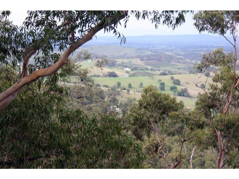 37 Moon Mountain Drive, Mount View NSW 2325