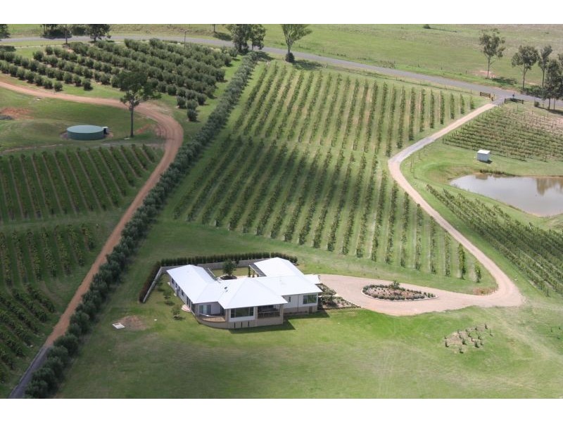 240 Old North Road, Pokolbin NSW 2320